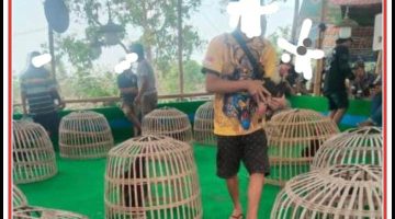 Aparat Diduga Main Mata, Judi Ilegal Manduro Jadi Simbol Bobroknya Sistem Penegakan Hukum